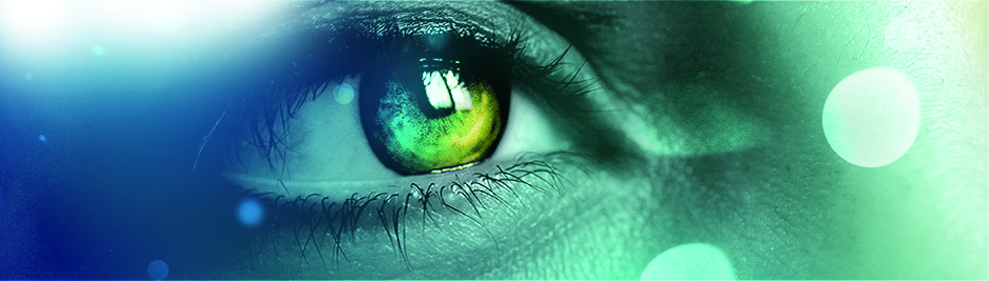 GSE Security, Gardiennage Sécurité Evénementiel